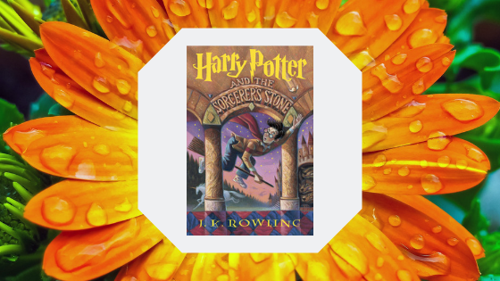 Untitled design (11).png