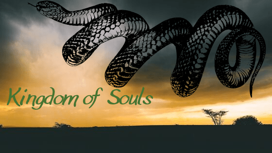 Kingdom of Souls eARC&nbsp;Review