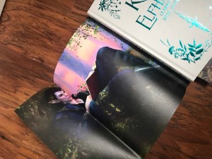 Owlcrate Special edition of How the King of Elfhame Learned to Hate Stories