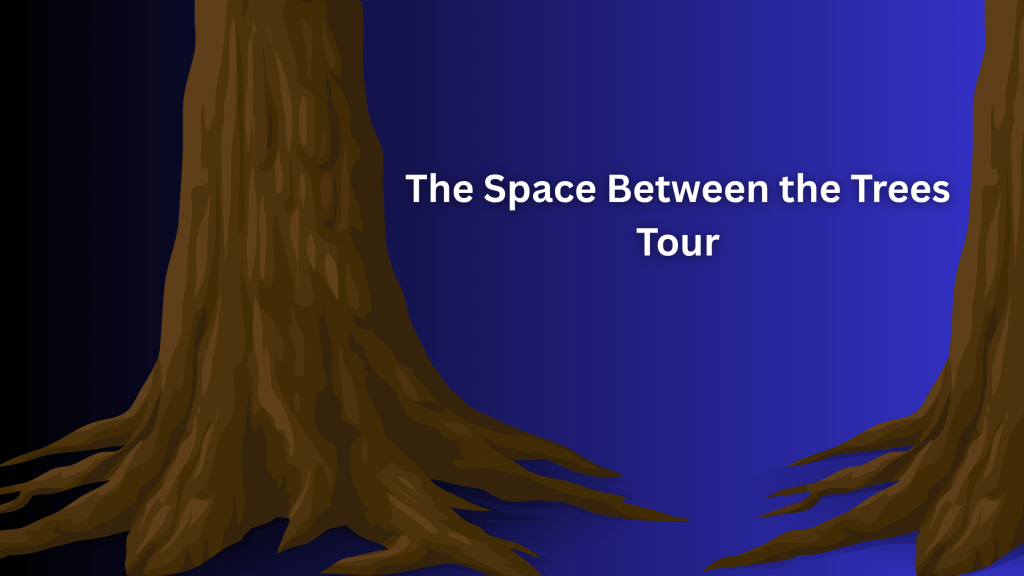 The Space Between the Trees Tour Review